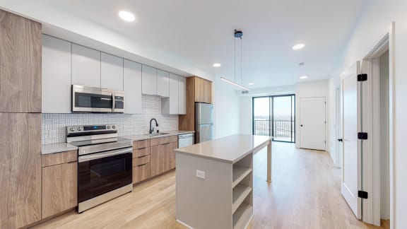 Modern Kitchen With Custom Cabinet at The Mason, Minnesota