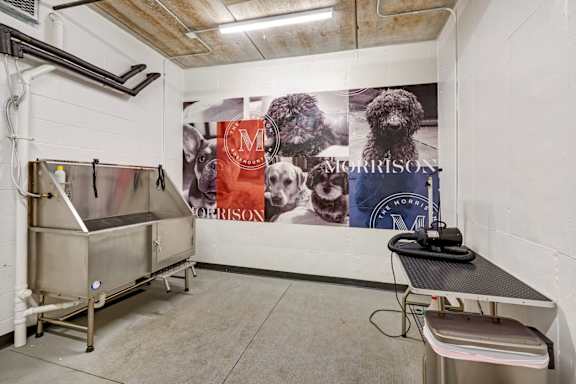 a large mural of dogs on a wall in a laundry room