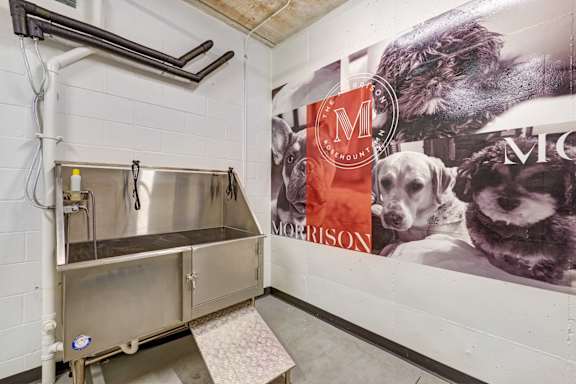 a sink and tap in a small room with a large picture of dogs on the wall