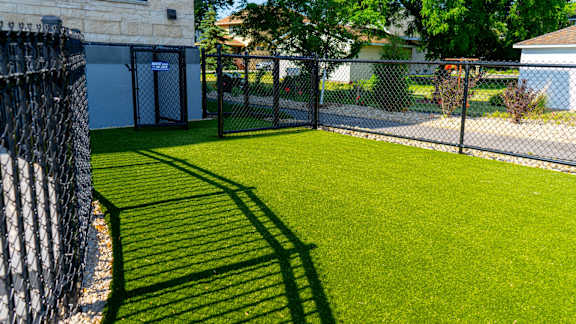 a yard with green grass and a black chain link fence