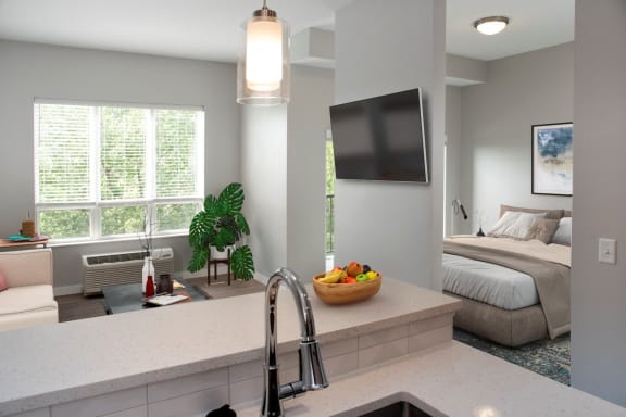 nordic studio floor plan, living and bedroom, floating tv wall