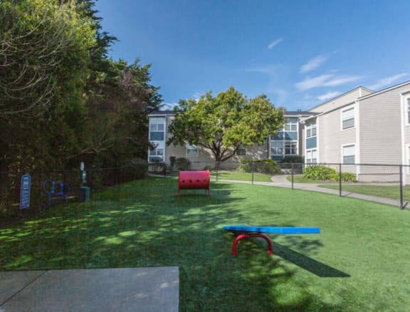 a yard with a bench and a ping pong table  at Skyline Heights LLC, California, 94015