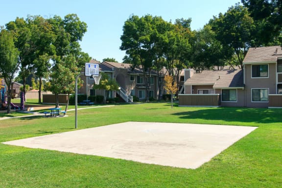 a basketball court in the middle of a grass field at Diablo Vista, California