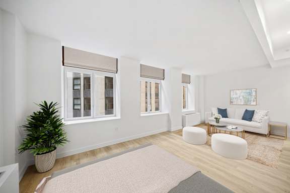 A living room with a white couch, a potted plant, and a rug.