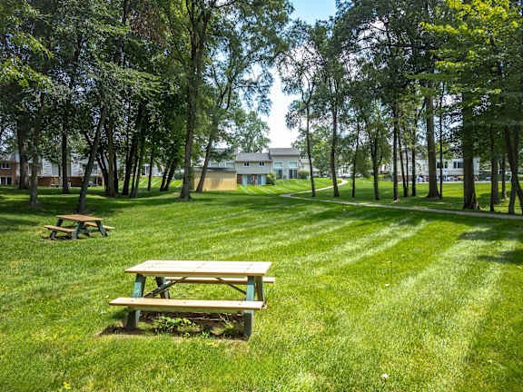 A picnic table sits in a grassy field with trees in the background.