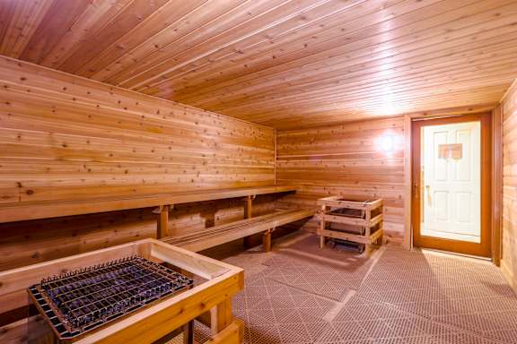 A wooden sauna with benches and a door.