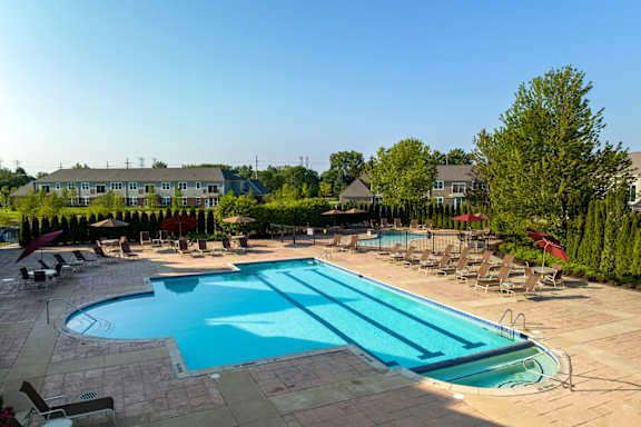 A large outdoor swimming pool surrounded by lounge chairs and trees.