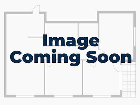 A placeholder image with the text "Image Coming Soon".