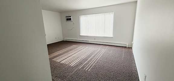 A room with a window and a carpet on the floor.