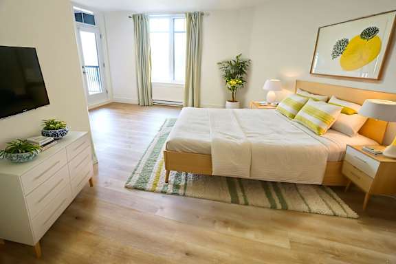 A bedroom with a large bed, a TV, and a plant.