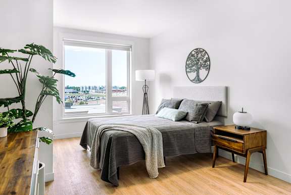 A bedroom with a bed, nightstand, and a plant.