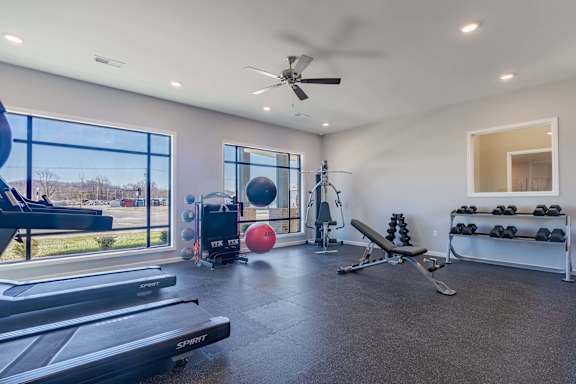 A spacious home gym with a treadmill, exercise ball, and dumbbells.