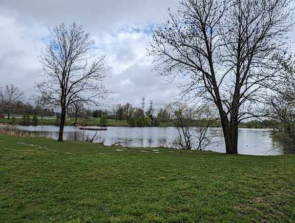 a body of water near some trees and grass