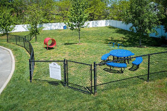 Dogpark with a blue table and a red object.