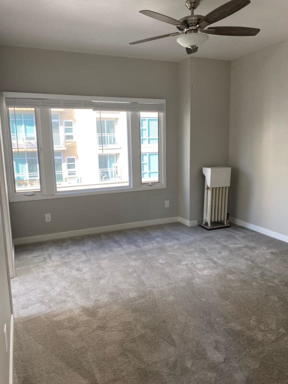 1 Bedroom 1 Bathroom