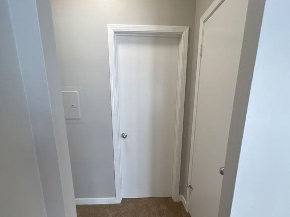 a bathroom with a closet and a white door