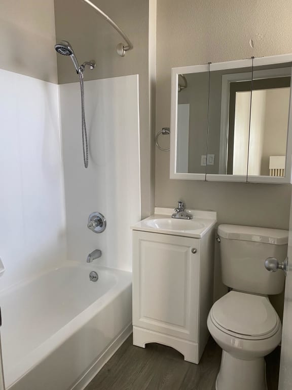 1 Bedroom 1 Bathroom