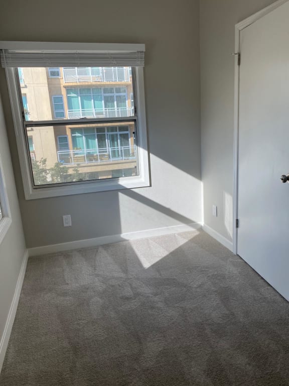 1 Bedroom 1 Bathroom