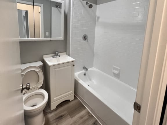 a bathroom with a tub and a toilet and a sink