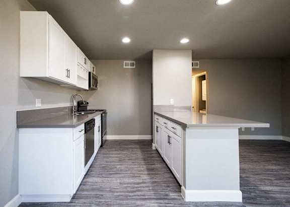 Modern Apartment Kitchen