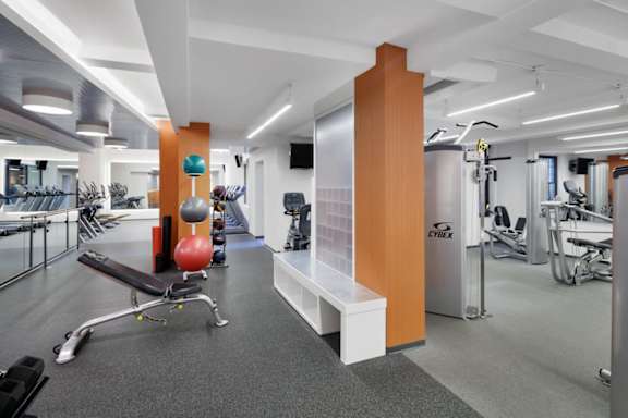 A gym with a variety of equipment including a bench, weights, and a treadmill.