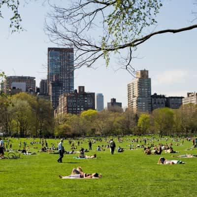 A park filled with people enjoying the day at The Ellington Apartments, New York, 10019