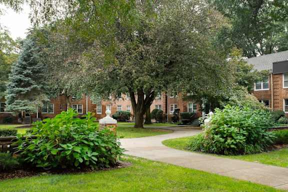 A tree in a yard with a brick building in the background.