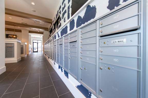 A row of mailboxes are lined up on a wall.