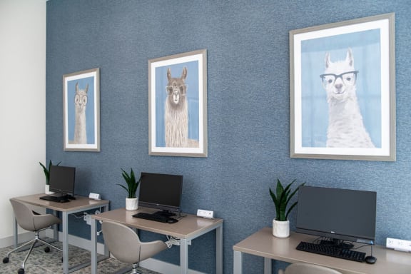 two desks with computers and pictures of llamas on the wall