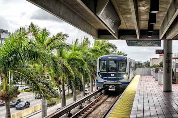 A train is on the tracks at a station with palm trees in the background.