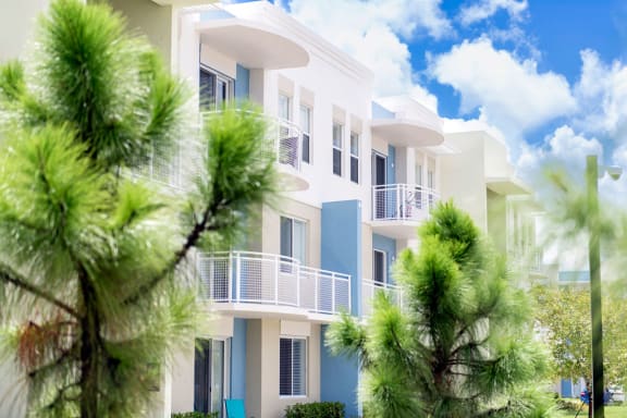 Solimar Buildings