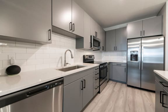 Contemporary Gray Cabinetry