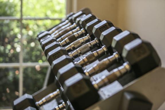 Free weights in the fitness center at Cypress Cove Apartments