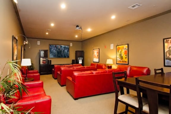 25 seat private theater room at Cypress Cove Apartments