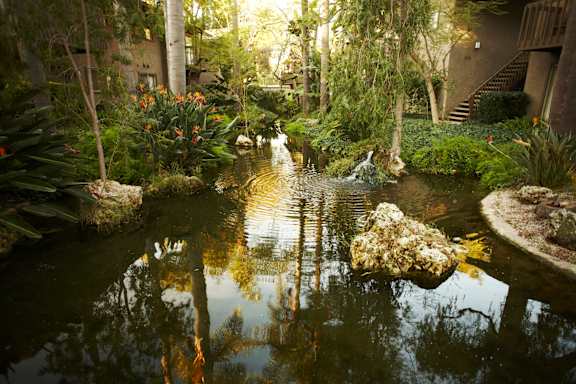 A small pond in a garden with a waterfall and a tree reflected in the water.at The Aspens South Coast, South Coast Metro