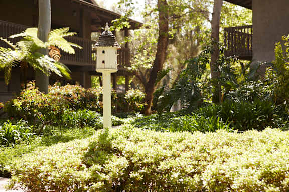 Garden at The Aspens South Coast, California, 92504