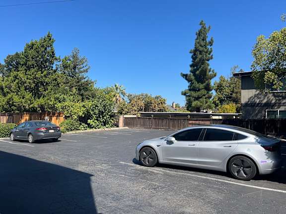Two cars parked in a parking lot with trees in the background.