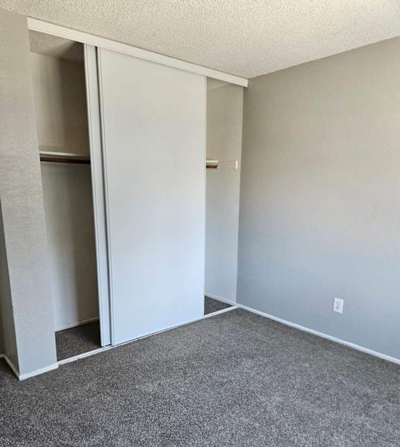 an empty room with a carpet and a closet