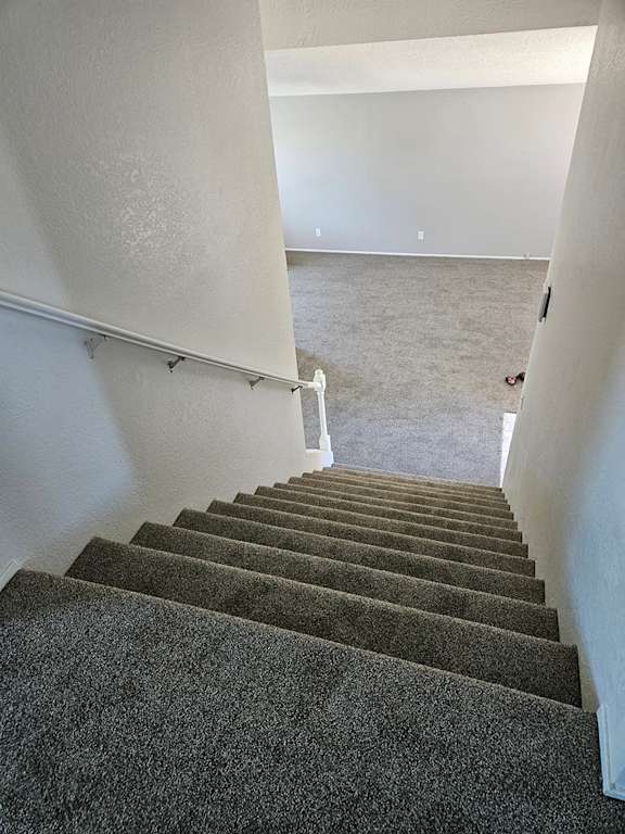 a view of the stairs from the top of them looking into a carpeted room