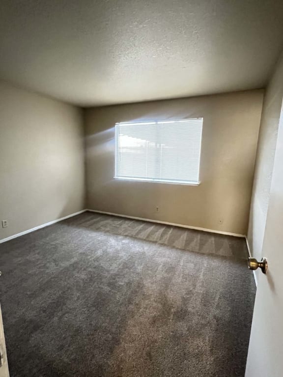 a bedroom with a window and a carpeted floor