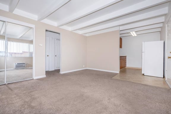 an empty living room with a large mirror and a closet