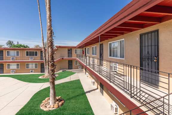 A palm tree stands in a courtyard between two apartment buildings.