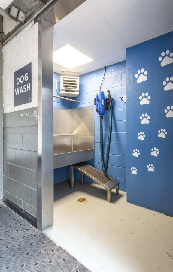 Dog washing station
