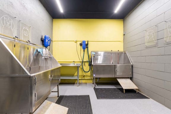 a kitchen with two stainless steel sinks and a yellow wall