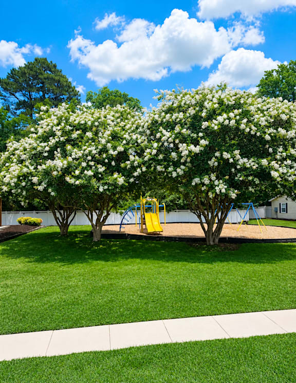A playground with a yellow slide is surrounded by two flowering trees.