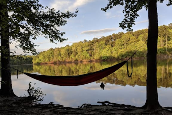 A red hammock is hung between two trees by a lake.