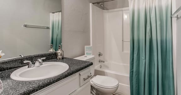 a bathroom with a sink and a toilet and a shower