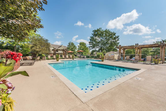the swimming pool at our apartments