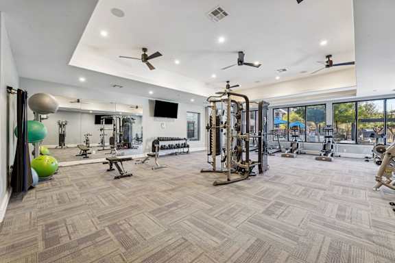 Fitness Center at Platinum Castle Hills, Lewisville, 75056