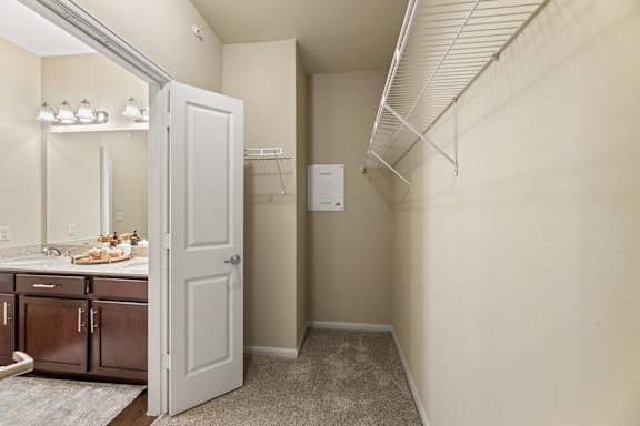Bathroom Closet at Platinum Castle Hills, Lewisville